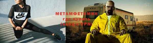 прущие грибы Липки