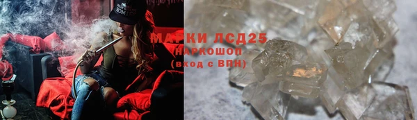 прущие грибы Липки