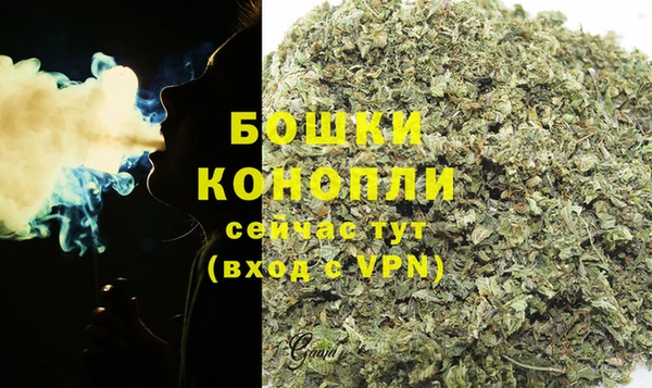 прущие грибы Липки