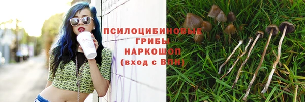 экстази Ладушкин