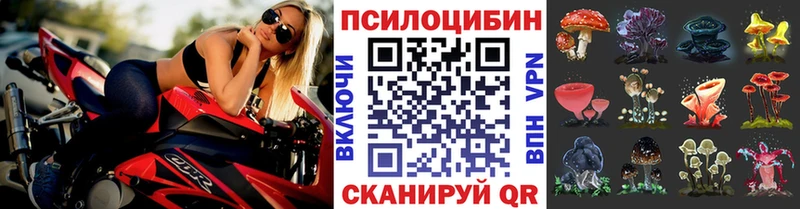 мега   Фурманов  Псилоцибиновые грибы MAGIC MUSHROOMS 