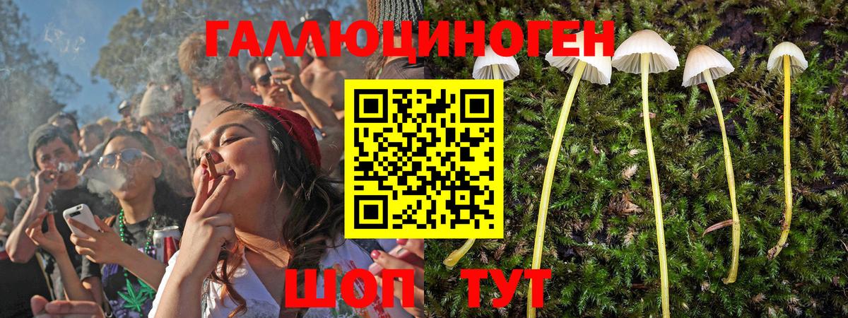 Галлюциногенные грибы мицелий  Фурманов 