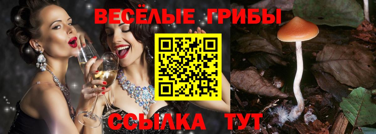 Псилоцибиновые грибы Magic Shrooms Фурманов