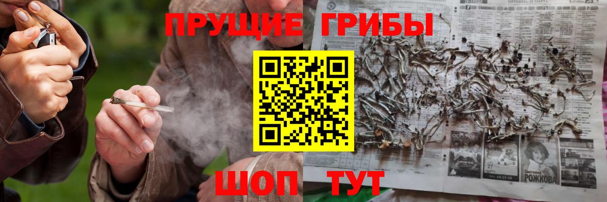 Псилоцибиновые грибы мицелий Фурманов